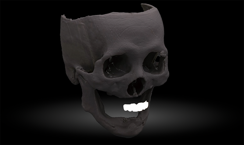 RAYeTray1.png